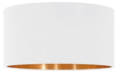Obrázok produktu pre Eglo Pasteri Pro 62682