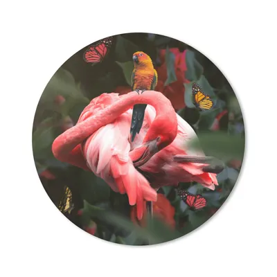 Produktbild von MuchoWow® Mauspad Mousepad Flamingo - Tiere - Dschungel 40x40 cm - Mousepads - Maus Mat - Pad - Mausunterlage - Schreibtisch Accessoires