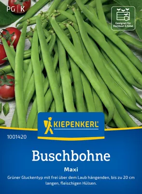 Produktbild von Buschbohnen Maxi Kiepenkerl Samenfestes Saatgut Gemüsesamen
