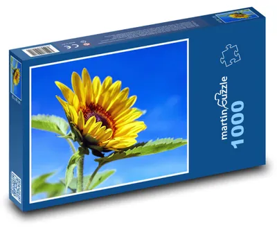 Obrázok produktu pre Puzzle 1000 Rozkvitnutá slnečnica - martinpuzzle