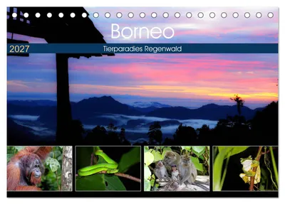 Produktbild von Borneo - Tierparadies Regenwald (Tischkalender 2027 DIN A5 quer), CALVENDO Monatskalender