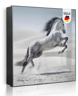 Zdjęcie produktu dla banjado metalowa szafka na klucze, duża 30x30 cm z 32 haczykami, może służyć jako tablica magnetyczna, czarny korpus, zawias po lewej stronie, Wildes Pferd [SKG2 10728]