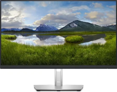 Zdjęcie produktu dla Dell P2423DE