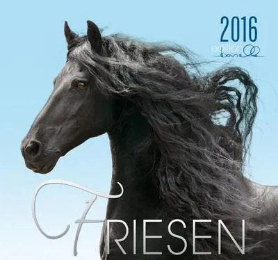 Immagine prodotto di Friesen 2016
