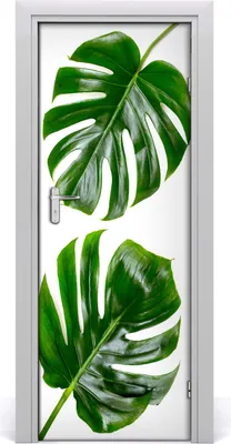 Produktbild von Tulup Türaufkleber 75x205 cm Dekorative Aufkleber Selbstklebend Wasserdichte Tapete Abnehmbar Schlafzimmer Wohnzimmer Wohnkultur - Monster