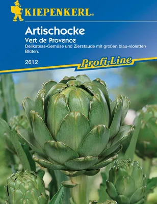 Produktbild von [STREICHUNG 2024] Artischocke Vert de Provence | Gemüsesamen von Kiepenkerl