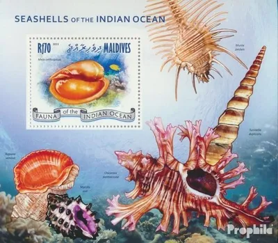 Produktbild von Briefmarken Malediven 2013 Mi Block 638 (kompl. Ausg.) postfrisch Muscheln