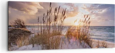 Produktbild von Bild auf Leinwand - Leinwandbild - Einteilig - Westen auf der Strand - 120x50cm - Wand Bild - Wanddeko - Wandbilder - Leinwanddruck - Bilder - Wanddekoration - Leinwand bilder - AB120x50-4710