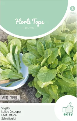 Produktbild von Schnittsalat Witte Dunsel | Pflücksalatsamen von Hortitops [MHD 07/2026]