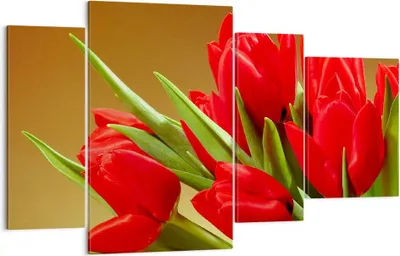 Produktbild von Bild auf Leinwand - Leinwandbild - Tulpen Blumen Feld Plantage - 120x70cm - Wand Bild - Wanddeko - Leinwanddruck - Bilder - Kunstdruck - Wanddekoration - Leinwand bilder - Wandkunst - DL120x70-0962