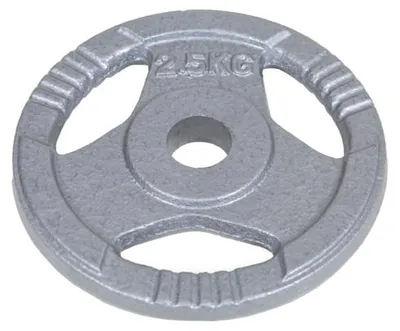 Produktbild von Guss Hantelscheibe 50 mm 2.5 kg