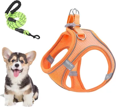 Produktbild von Verstellbares Hundegeschirr mit Leine für kleine und mittelgroße Hunde