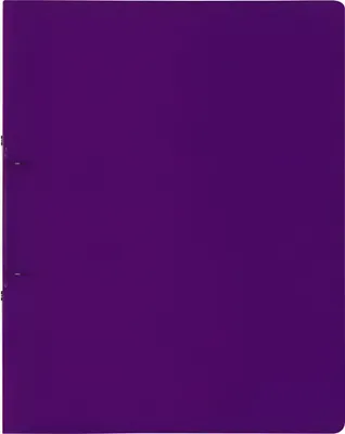 Produktbild von BRUNNEN Ringbuch A4 FACT! 25mm 2-Ringe violett 106550560