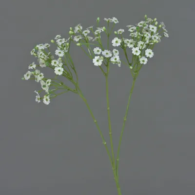 Produktbild von artplants.de Dekozweig Schleierkraut SIKINOS, weiß, 65cm - Kunstzweig