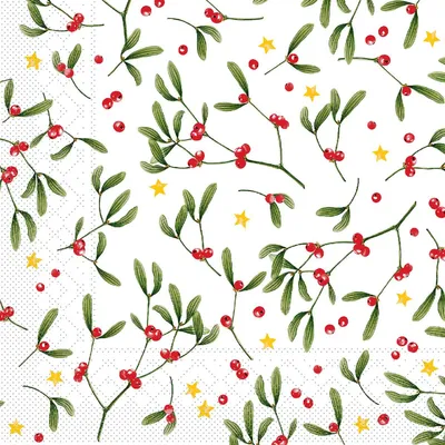 Produktbild von Tissue Serviette Leni, 33 x 33 cm, 100 Stück - Mank