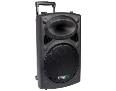 Obrázok produktu pre Ibiza Sound PORT12VHF, 350 W, 40 - 20000 Hz, Čierna, Káblový a bezdrôtový, AC, Batérie, 12 V