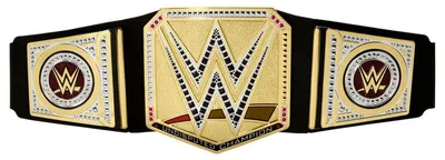 Immagine prodotto di WWE HYJ35, 6 anni, Nero, Oro, Plastica