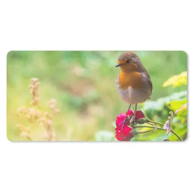 Produktbild von MuchoWow® Schreibtischunterlage Rotkehlchen - Rose - Rot 80x40 cm - XXL Mauspad - Gaming Mauspad