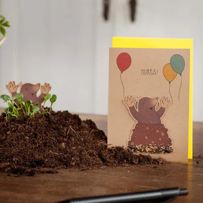 Produktbild von Grußkarte 'Hurra' mit Maulwurf - Saatstecker Karte mit Maulwurf mit eingearbeiteten Wildblumensamen - Grußkarte für viele Anlässe