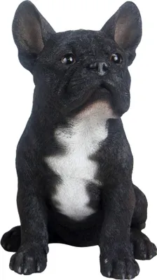 Produktbild von Französische Bulldogge in SCHWARZ mit weißen Akzenten. Charmant & lebensecht