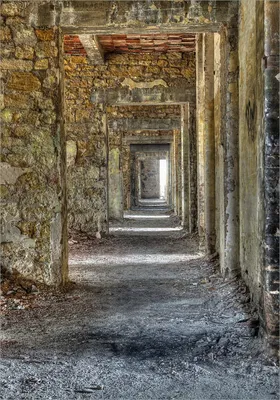 Produktbild von Wallario Poster - Weg durch eine verlassene Ruine, Kunstdruck Größe: 70 x 100 cm