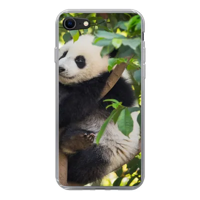 Produktbild von MuchoWow® Handyhülle Schutzhülle Hülle für iPhone SE 2020 Panda - Tier - Baum Silikon Softcase Handy Hülle - Kartenbesitzer