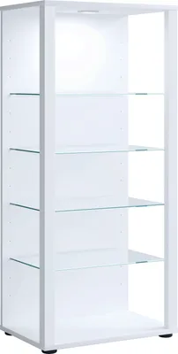 Zdjęcie produktu dla Szklana obudowa stojąca | Etui na wyświetlacz Szkło z bezpiecznym szkłem ESG | Wymiary ok. H. 115 x W. 52 x D. 35 cm | Stand case glass | Nowoczesne i oszczędne miejsce | Szklana szafka ekspozycyjna – Glasol lll