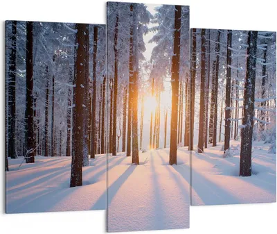 Produktbild von Bild auf Leinwand - Leinwandbild - Wald Winter Schnee - 130x100cm - Wand Bild - Wanddeko - Leinwanddruck - Bilder - Kunstdruck - Wanddekoration - Leinwand bilder - Wandkunst - CB130x100-3629