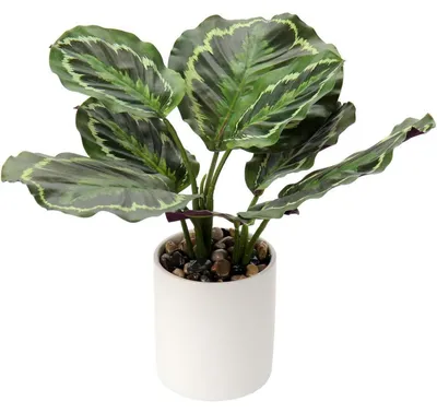 Image de Plante artificielle Monstera en pot, hauteur 31 cm, idéale pour la décoration de la maison et du bureau