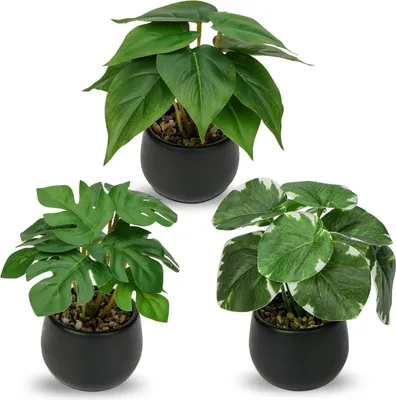 Image de Briful Set de 3 plantes d'intérieur artificielles Décoration Hauteur 15 cm dans un pot en céramique noir