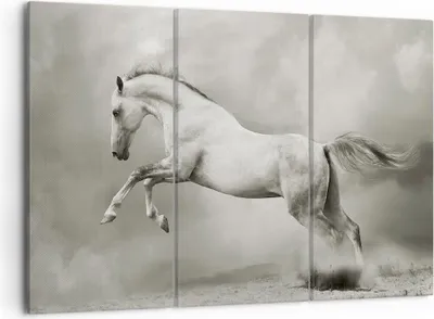 Produktbild von Bild auf Leinwand - Leinwandbild - Pferd Tier - 105x70cm - Wand Bild - Wanddeko - Wandbilder - Leinwanddruck - Bilder - Kunstdruck - Wanddekoration - Leinwand bilder - Wandkunst - CE105x70-3542