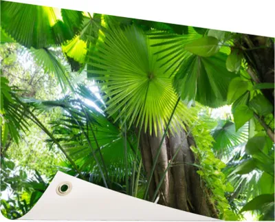Produktbild von Gartenposter - 120x80 cm - Tropischer Regenwald  - Modernes Wandbilder - Natur