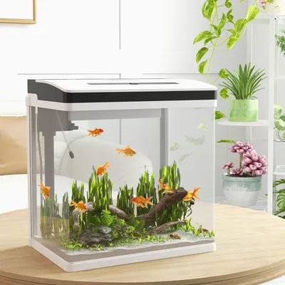 Obrázok produktu pre Akvarium - Akvárium s rybami - Akvárium na ryby - Nano akvárium - Sklenené akvárium - Objem 28 litrov