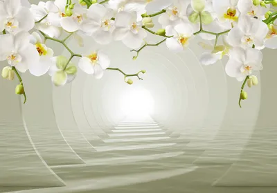 Produktbild von Vlies Fototapete 3D Effekt 400x280 cm Tapeten Wandtapete XXL Tunnel Orchidee Blumen Abstrakt b-C-1039-a-a