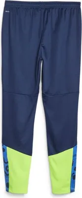 Produktbild von Puma IndividualCUP Fußball-Trainingshose Herren blau pro grün Gr S