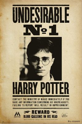 Harry Potter Poster Undesirable No 1