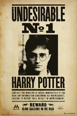 Produktbild von Harry Potter Poster Undesirable No 1