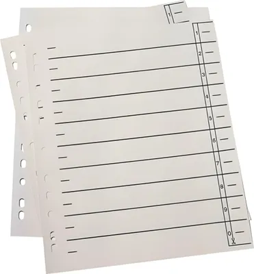 Produktbild von Trennblätter A4 Überbreite 190 g/qm Lochrand verstärkt chamois 100 Stk