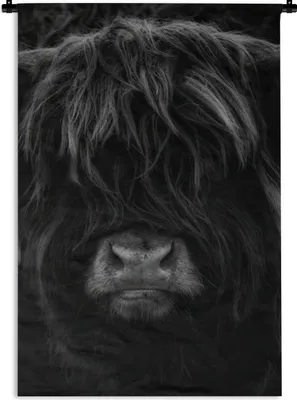 Produktbild von MuchoWow® Wandteppich Wandbehang Schottischer Highlander - Kuh - Porträt - Tiere - Schwarz - Weiß 60x90 cm Tapisserie Dekoration Wandtuch - Foto-Teppich - Abwaschbar