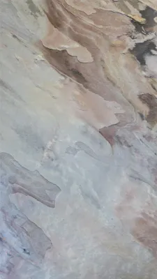 Zdjęcie produktu dla Wielkoformatowy fornir kamienny, Sanjayani White, 244x122 cm, EDL024, sztuka