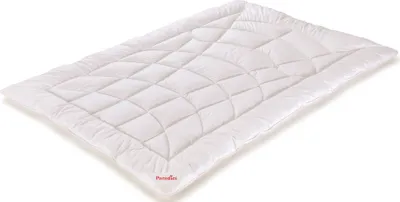 Produktbild von Paradies Übergangs Bettdecke 135x200 cm Dala Bio Premium Leichtigkeit und Volumen