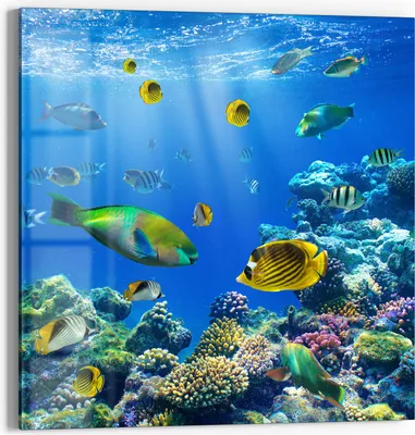 Produktbild von DEQORI Glasbild Echtglas 30x30 cm 'Unterwasserwelten' Wandbild Bild modern Deko