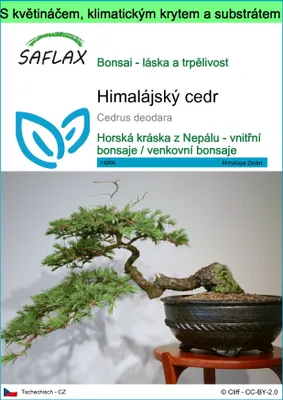 Obrázek produktu pro SAFLAX Garden to go - Himalájský cedr - Cedrus deodara - 35 Semena - S květináčem, klimatickou poklicí a pěstebním substrátem