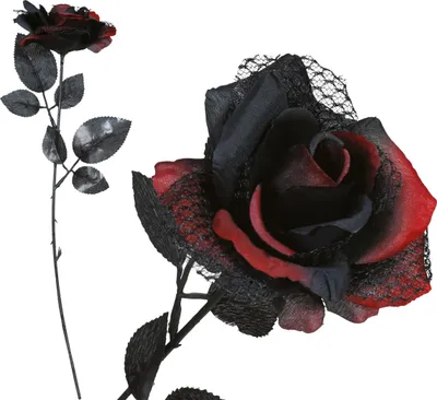 Produktbild von Rote Und Schwarze Blume, 40 Cm