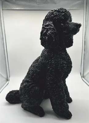Produktbild von Casa Padrino Deko Figur Hund Pudel Schwarz H. 47 cm - Deko Skulptur