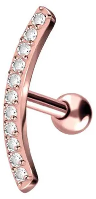 Produktbild von Ohrpiercing Titan Ohrpiercing KRISTALLBOGEN