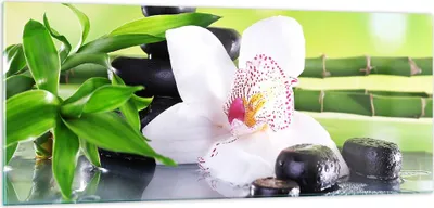 Produktbild von Bilder auf glas - blume orchidee - 100x40cm - Glasbilder - Wandbilder - Kunstdruck - zum Aufhängen bereit - Wanddekoration aus Glas - Glas Bilder - Wandbild auf Glas - Einteilig - GAB100x40-3659