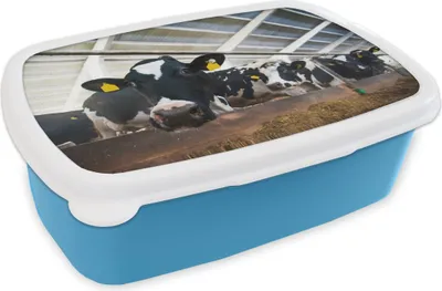 Produktbild von KitchenYeah® Lunchbox Brotzeit Brotdose 17x11 cm Kuh - Bauernhof - Stall Kinder Brotzeitdose - Lunch - Kunststoff  - Brotbüchse - Sandwichbox - Lunchbox für Kinder