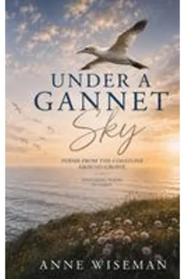 Image de Under a Gannet Sky