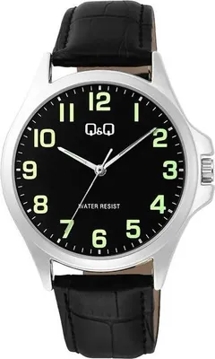 Obrázek produktu pro Hodinky QQ C36A-014P černé